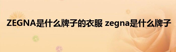 ZEGNA是什么牌子的衣服 zegna是什么牌子 
